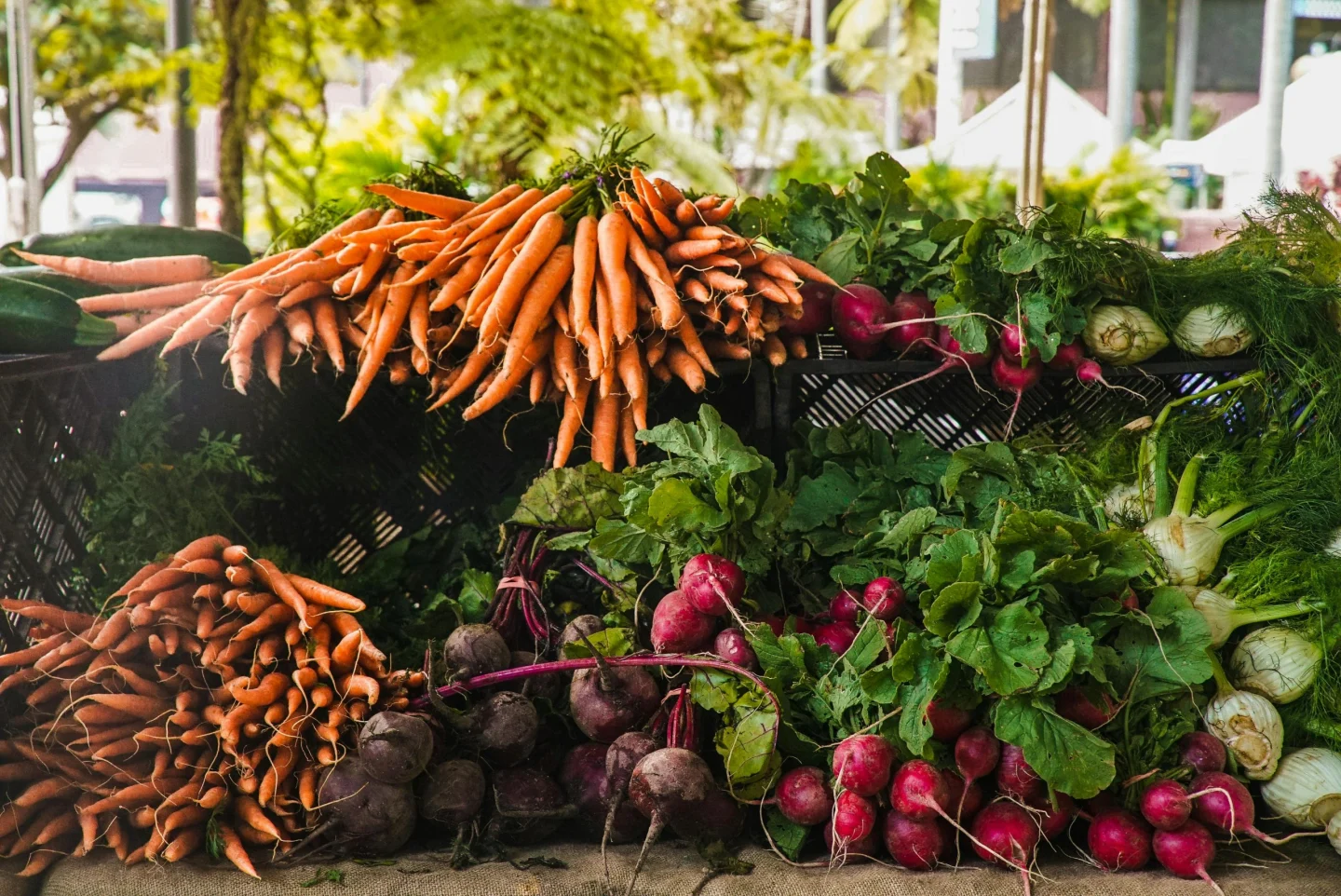 Sumter Farmers Market