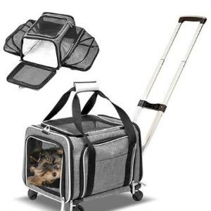 TSA Pet Carrier